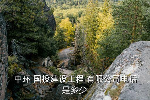  中環(huán) 國(guó)投建設(shè)工程 有限公司電話(huà)是多少