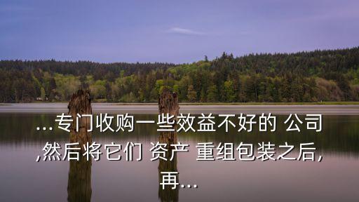 ...專門(mén)收購(gòu)一些效益不好的 公司,然后將它們 資產(chǎn) 重組包裝之后,再...