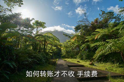 網絡公司刷卡怎樣能免手續(xù)費