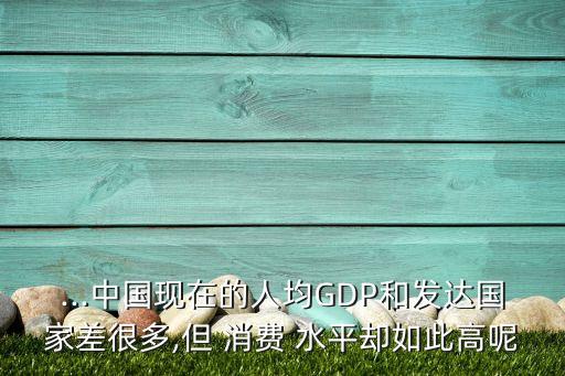 ...中國現(xiàn)在的人均GDP和發(fā)達國家差很多,但 消費 水平卻如此高呢