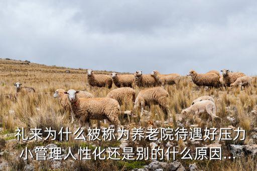  禮來(lái)為什么被稱(chēng)為養(yǎng)老院待遇好壓力小管理人性化還是別的什么原因...