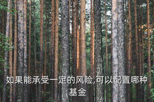 如果能承受一定的風(fēng)險,可以配置哪種 基金