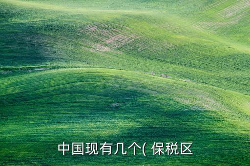 中國(guó)現(xiàn)有幾個(gè)( 保稅區(qū)