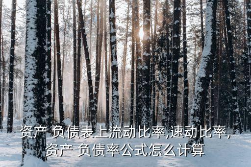 銀行負(fù)債率怎么算,個人負(fù)債率怎么算