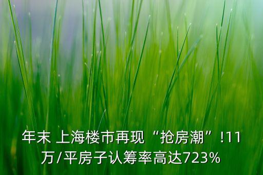 年末 上海樓市再現(xiàn)“搶房潮”!11萬(wàn)/平房子認(rèn)籌率高達(dá)723%