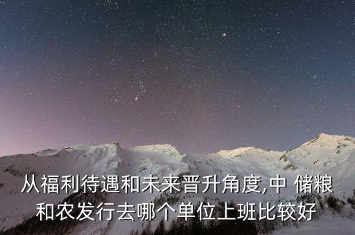 從福利待遇和未來(lái)晉升角度,中 儲(chǔ)糧和農(nóng)發(fā)行去哪個(gè)單位上班比較好