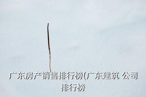 廣東房產(chǎn)銷(xiāo)售排行榜(廣東建筑 公司排行榜