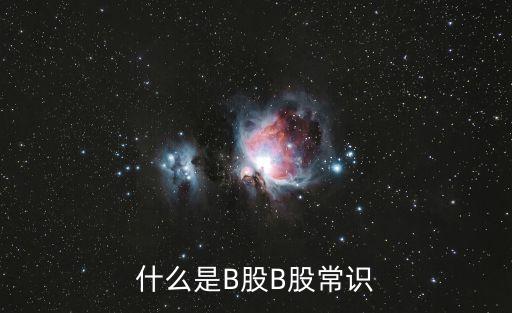 什么是B股B股常識(shí)