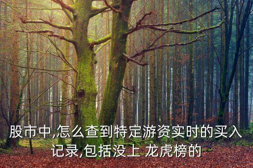 股市中,怎么查到特定游資實(shí)時的買入記錄,包括沒上 龍虎榜的