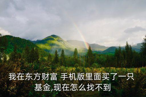 我在東方財(cái)富 手機(jī)版里面買了一只 基金,現(xiàn)在怎么找不到
