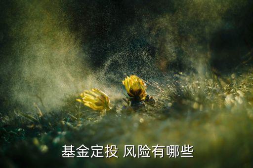  基金定投 風(fēng)險(xiǎn)有哪些