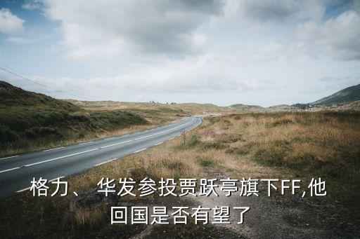 格力、 華發(fā)參投賈躍亭旗下FF,他回國是否有望了