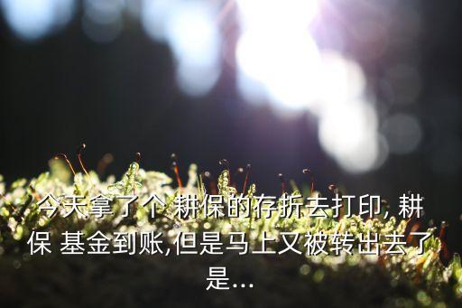 農(nóng)民耕?；?成都市耕?；鸢l(fā)放時(shí)間