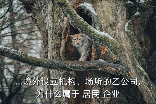 ...境外設(shè)立機(jī)構(gòu)、場(chǎng)所的乙公司,為什么屬于 居民 企業(yè)