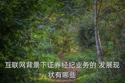互聯(lián)網(wǎng)背景下證券經(jīng)紀業(yè)務(wù)的 發(fā)展現(xiàn)狀有哪些
