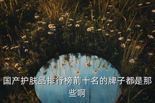 國產護膚品排行榜前十名的牌子都是那些啊