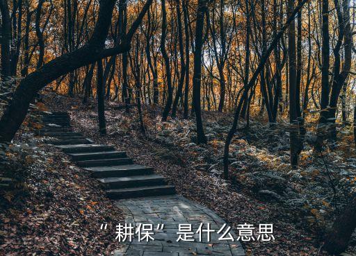 “ 耕?！笔鞘裁匆馑? class=