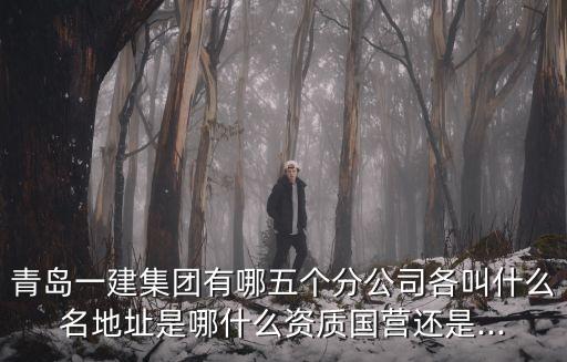 國(guó)企路橋公司項(xiàng)目經(jīng)理灰色收入