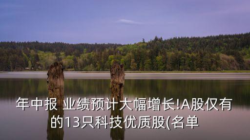年中報 業(yè)績預計大幅增長!A股僅有的13只科技優(yōu)質股(名單
