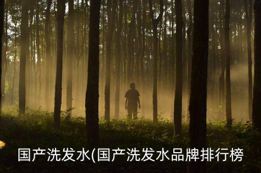 國產洗發(fā)水(國產洗發(fā)水品牌排行榜