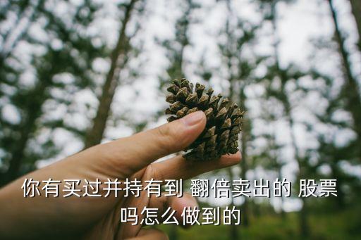 你有買(mǎi)過(guò)并持有到 翻倍賣(mài)出的 股票嗎怎么做到的