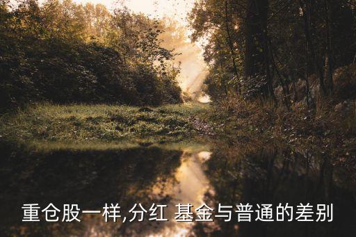 重倉(cāng)股一樣,分紅 基金與普通的差別
