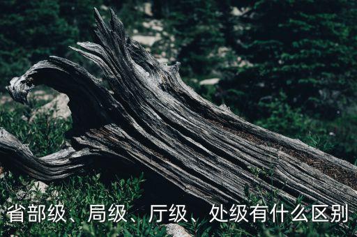 省部級、局級、廳級、處級有什么區(qū)別