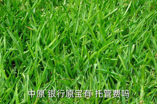 中原 銀行原寶有 托管費嗎