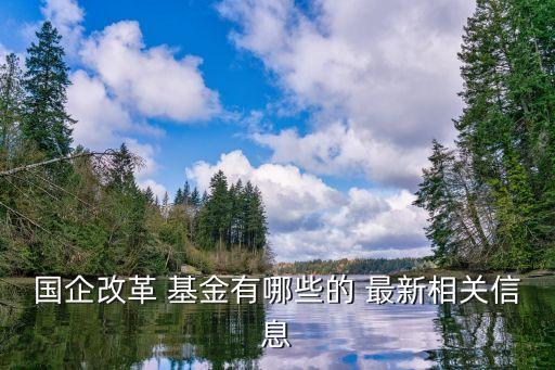 國企改革 基金有哪些的 最新相關信息