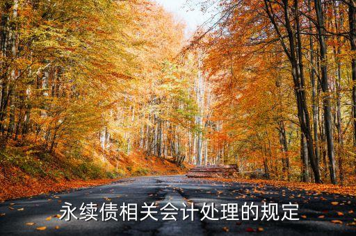  永續(xù)債相關(guān)會計(jì)處理的規(guī)定