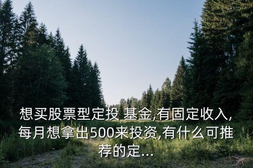 想買(mǎi)股票型定投 基金,有固定收入,每月想拿出500來(lái)投資,有什么可推薦的定...