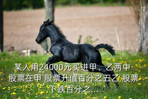 某人用24000元買進甲、乙兩中 股票在甲 股票升值百分之五乙 股票下跌百分之...