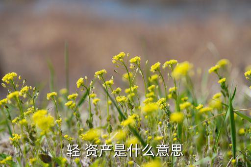 國(guó)蘋果公司輕資產(chǎn)運(yùn)營(yíng)模式下的資金管理