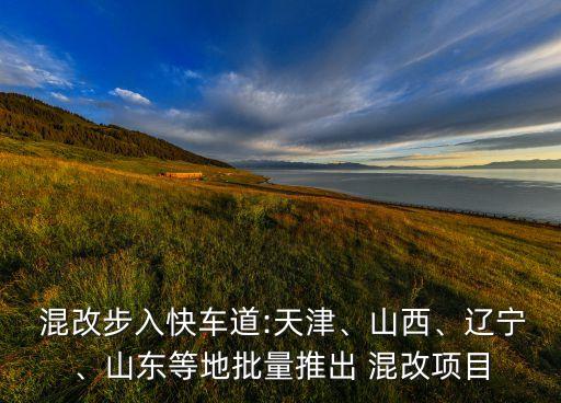 混改步入快車道:天津、山西、遼寧、山東等地批量推出 混改項(xiàng)目