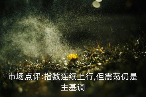市場點評:指數(shù)連續(xù)上行,但震蕩仍是主基調(diào)