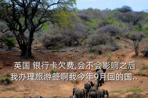  英國 銀行卡欠費(fèi),會不會影響之后我辦理旅游簽啊我今年9月回的國...