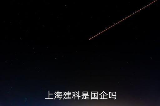 上海機(jī)場集團(tuán)王吉杰圖片百度知道