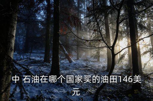 中 石油在哪個(gè)國家買的油田146美元