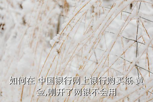 如何在 中國(guó)銀行網(wǎng)上銀行購(gòu)買(mǎi)紙 黃金,剛開(kāi)了網(wǎng)銀不會(huì)用