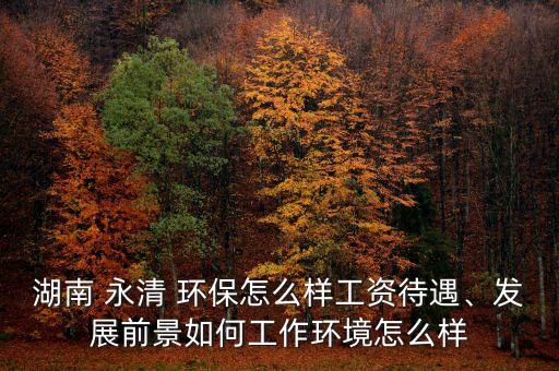 湖南 永清 環(huán)保怎么樣工資待遇、發(fā)展前景如何工作環(huán)境怎么樣