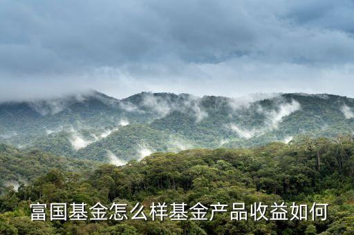  富國基金怎么樣基金產品收益如何