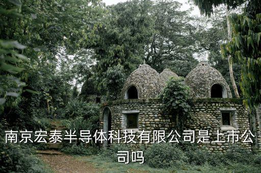 南京宏泰半導體科技有限公司是上市公司嗎