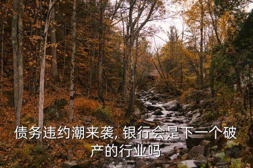 債務(wù)違約潮來襲, 銀行會是下一個(gè)破產(chǎn)的行業(yè)嗎