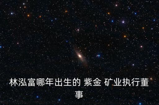 林泓富哪年出生的 紫金 礦業(yè)執(zhí)行董事