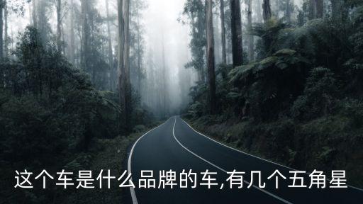 這個車是什么品牌的車,有幾個五角星