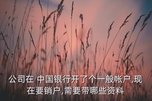 公司在 中國(guó)銀行開(kāi)了個(gè)一般帳戶,現(xiàn)在要銷(xiāo)戶,需要帶哪些資料