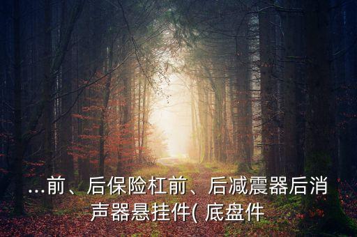 ...前、后保險(xiǎn)杠前、后減震器后消聲器懸掛件( 底盤(pán)件