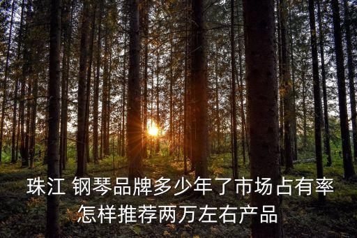  珠江 鋼琴品牌多少年了市場占有率怎樣推薦兩萬左右產品