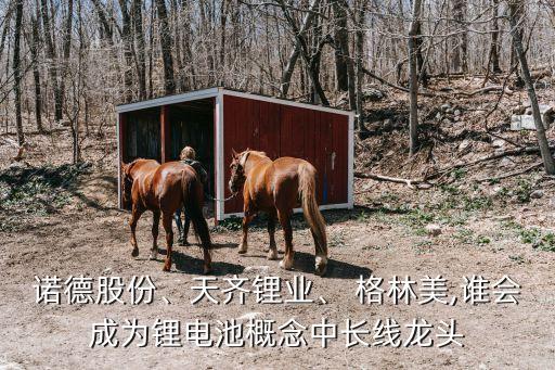 諾德股份、天齊鋰業(yè)、 格林美,誰會成為鋰電池概念中長線龍頭