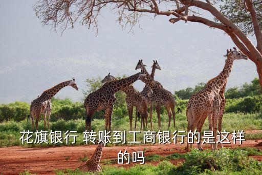  花旗銀行 轉賬到工商銀行的是這樣的嗎